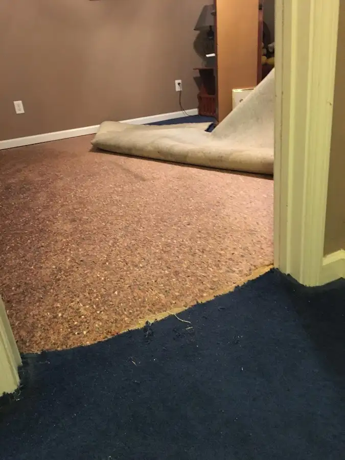 Carpet pad removal revealing water damage during Drying & Dehumidification in Vail